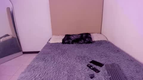 Snapshot of im_perseo_ chatting on 02.26.26 Perseo - Help me with 50 thumbs up online show from 02.26.26