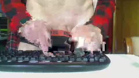 Aussie Guy online show from 10.21.25