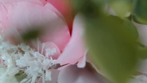 Carrie online show from 02.22.25