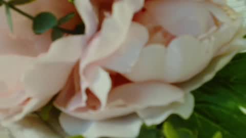 Carrie online show from 03.01.25