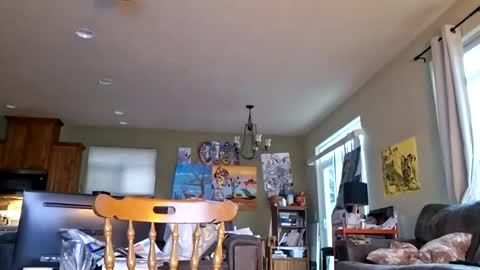 Iminyourroom online show from 07.17.26