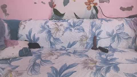 Parul online show from 02.01.26