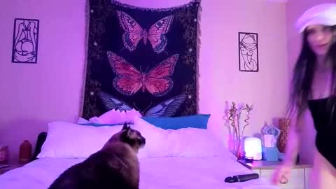 Indigo Bay online show from 02.03.26