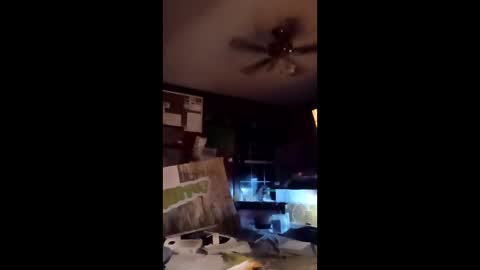 inmecum online show from 03.20.26