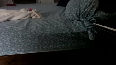 InsatiableCpl333 online show from 01.23.25