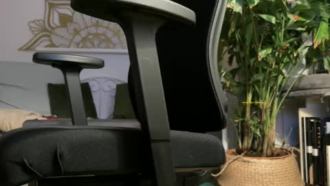 intressiert online show from 02.19.26