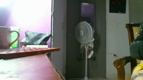 Snapshot of irisbell_ chatting on 12.22.24 Camilla online show from 12.22.24
