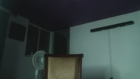 Snapshot of irisbell_ chatting on 01.05.25 Camilla online show from 01.05.25