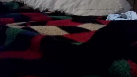 McDick online show from 03.27.26