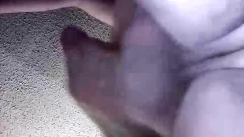 McDick online show from 03.30.26