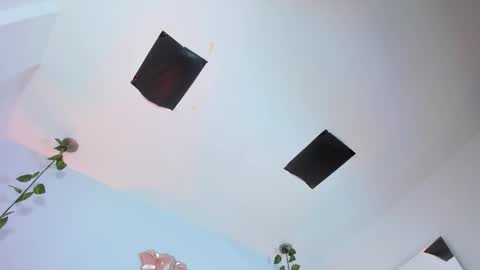   online show from 11.12.25