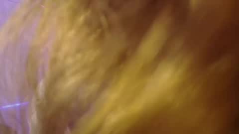 Snapshot of isabella_rross chatting on 11.06.25 Isabella Rros online show from 11.06.25