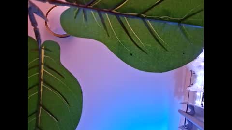 Snapshot of isabellacloverlove chatting on 10.23.25 Isabella online show from 10.23.25