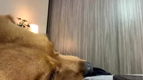 Snapshot of isabelprietoo chatting on 10.07.25 Isa online show from 10.07.25