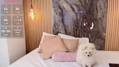 ISADORA online show from 10.13.25