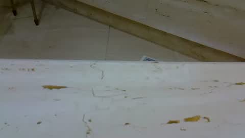 isd1969 online show from 01.07.25