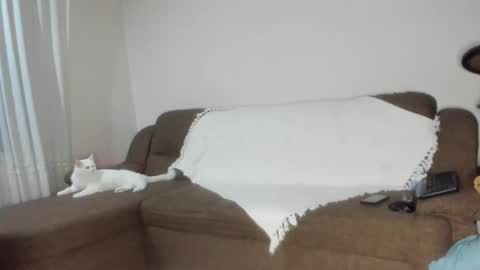 Issabelle online show from 11.06.25