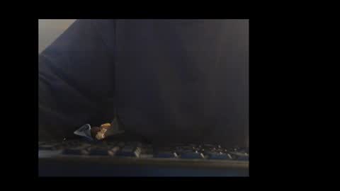 ital25usa online show from 01.11.26