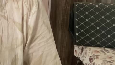 Raje online show from 11.26.25