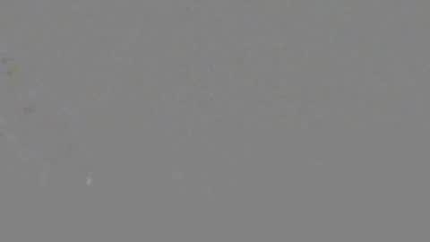 ItsNyladior online show from 06.06.26