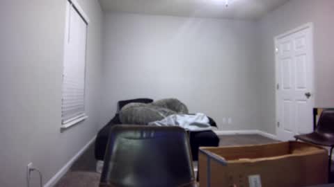 TARZAN online show from 12.13.24