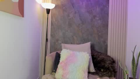 ivanna online show from 02.20.26