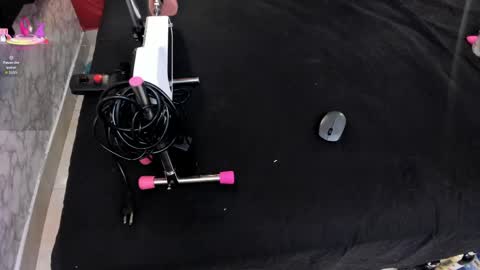 Snapshot of ivisbouncyass chatting on 04.13.26 Ivis online show from 04.13.26