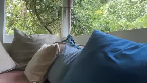 ivysagex online show from 09.12.25