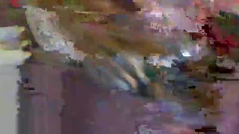 iwantthenutt online show from 03.25.26