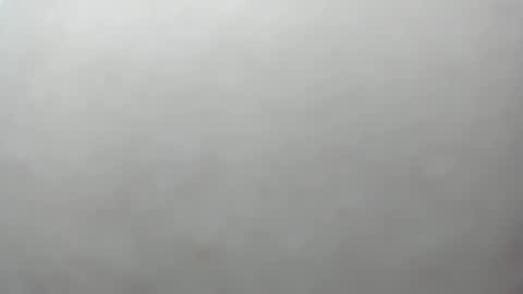 izelevans online show from 11.27.25