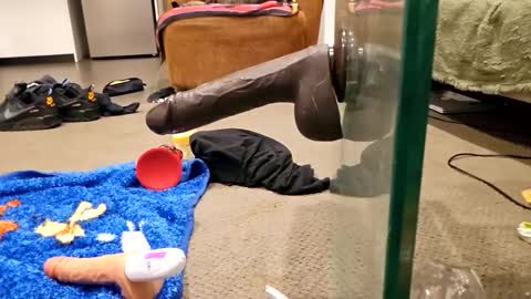 j220231 online show from 12.04.25