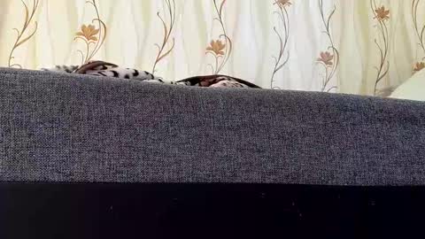 jaaaaanek2 online show from 04.21.26