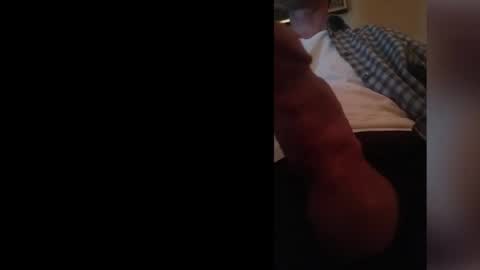 jaaydantaay online show from 02.07.25