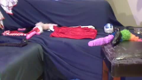 JACKSLUT BUY ME . FAN CLUB MEMBERS AND THOSE WHOM THE MEMBERS INDICATE SISY SLUT PROVIDES THEM  FREE SERVICES online show from 12.29.24