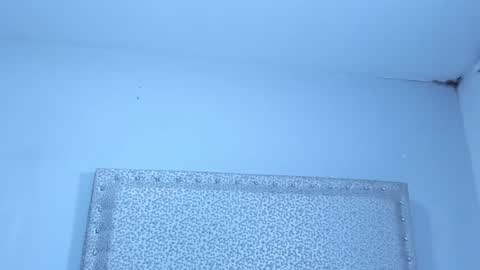 Jack White online show from 01.25.25