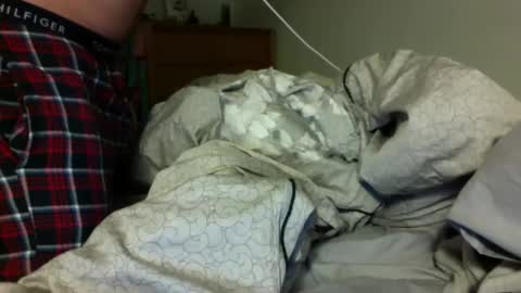 Jackbnibbled online show from 02.04.25