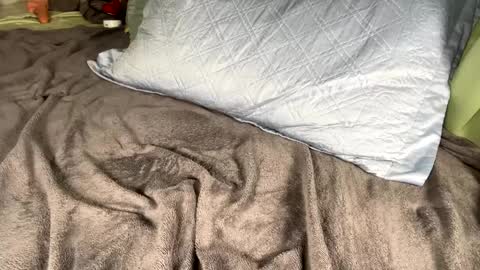 jacksbunnys online show from 01.14.25