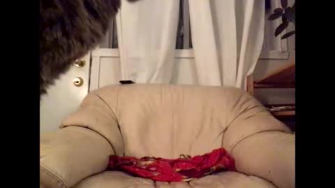 Jacob online show from 03.17.26