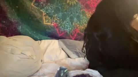 Snapshot of jadexbabe chatting on 01.27.25 Jadexbabe online show from 01.27.25