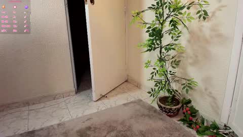 Snapshot of jahgio chatting on 11.19.25 Jahgio online show from 11.19.25