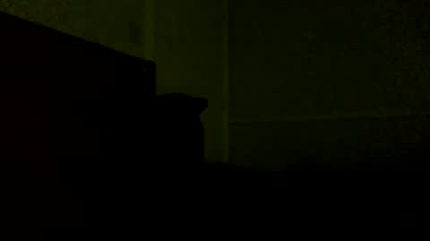 Snapshot of jamacianmehorny chatting on 02.21.25 Jamacian online show from 02.21.25