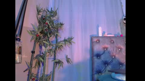 Jamaica online show from 02.12.26