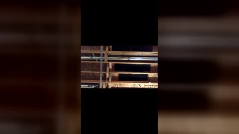 jamie19905 online show from 03.04.26