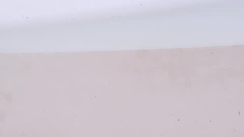 Bootyshows online show from 03.22.26