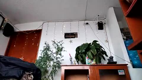 janariivera1 online show from 02.11.26