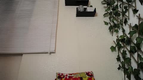 JKing  online show from 01.23.25