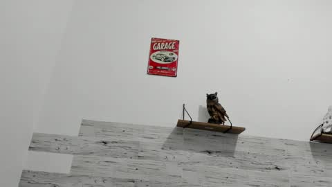 Jaycreedd online show from 03.08.25