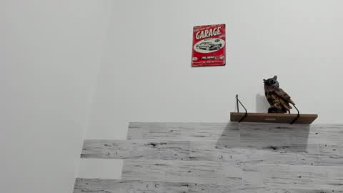 Jaycreedd online show from 03.09.25