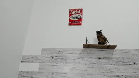 Jaycreedd online show from 03.12.25