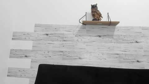 Jaycreedd online show from 09.21.25